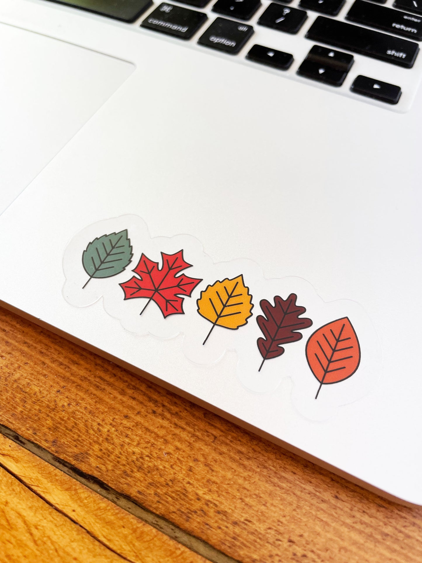 Fall Leaves Clear Sticker