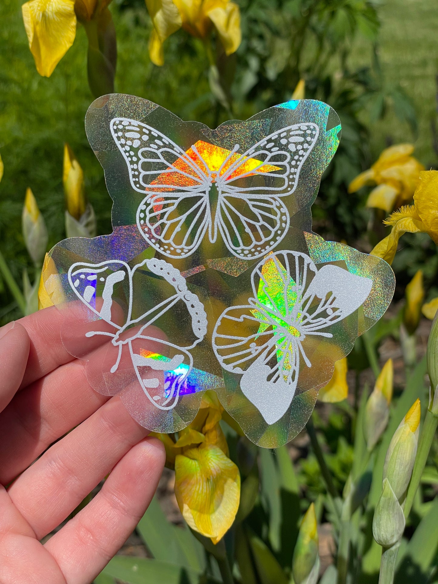 Butterflies Sun Catcher Window Decal