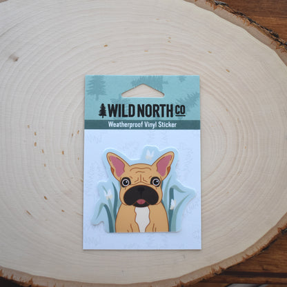 French Bulldog Sticker