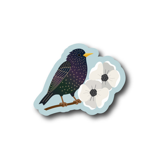 Starling Sticker
