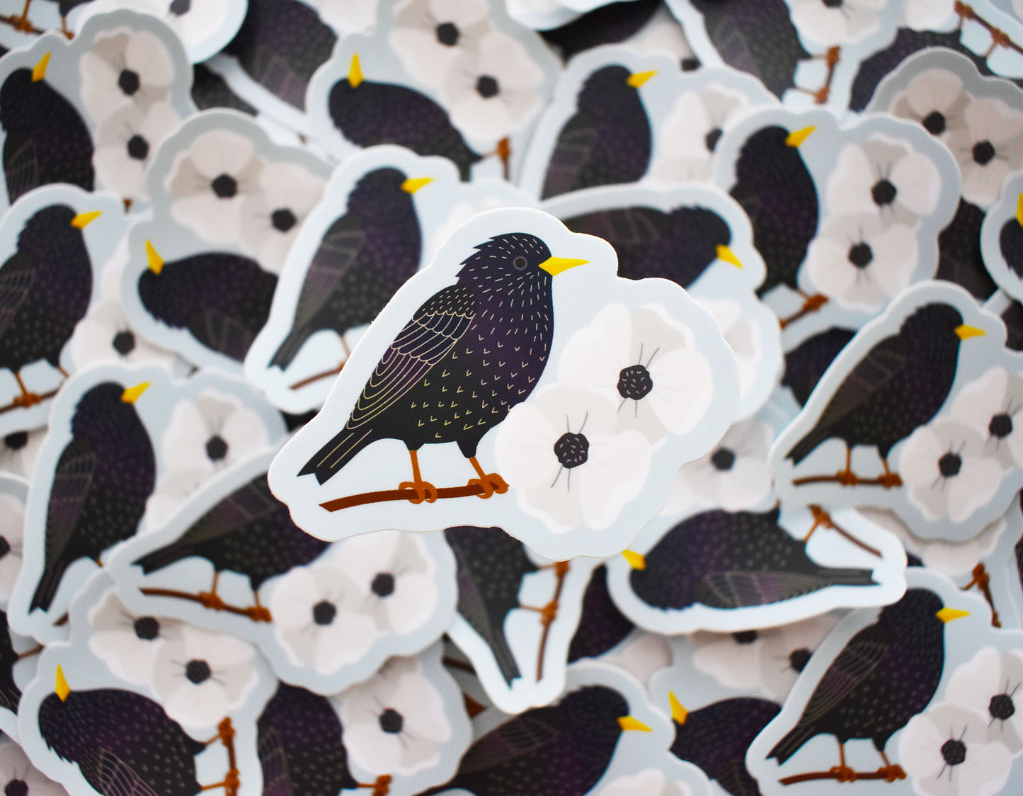 Starling Sticker