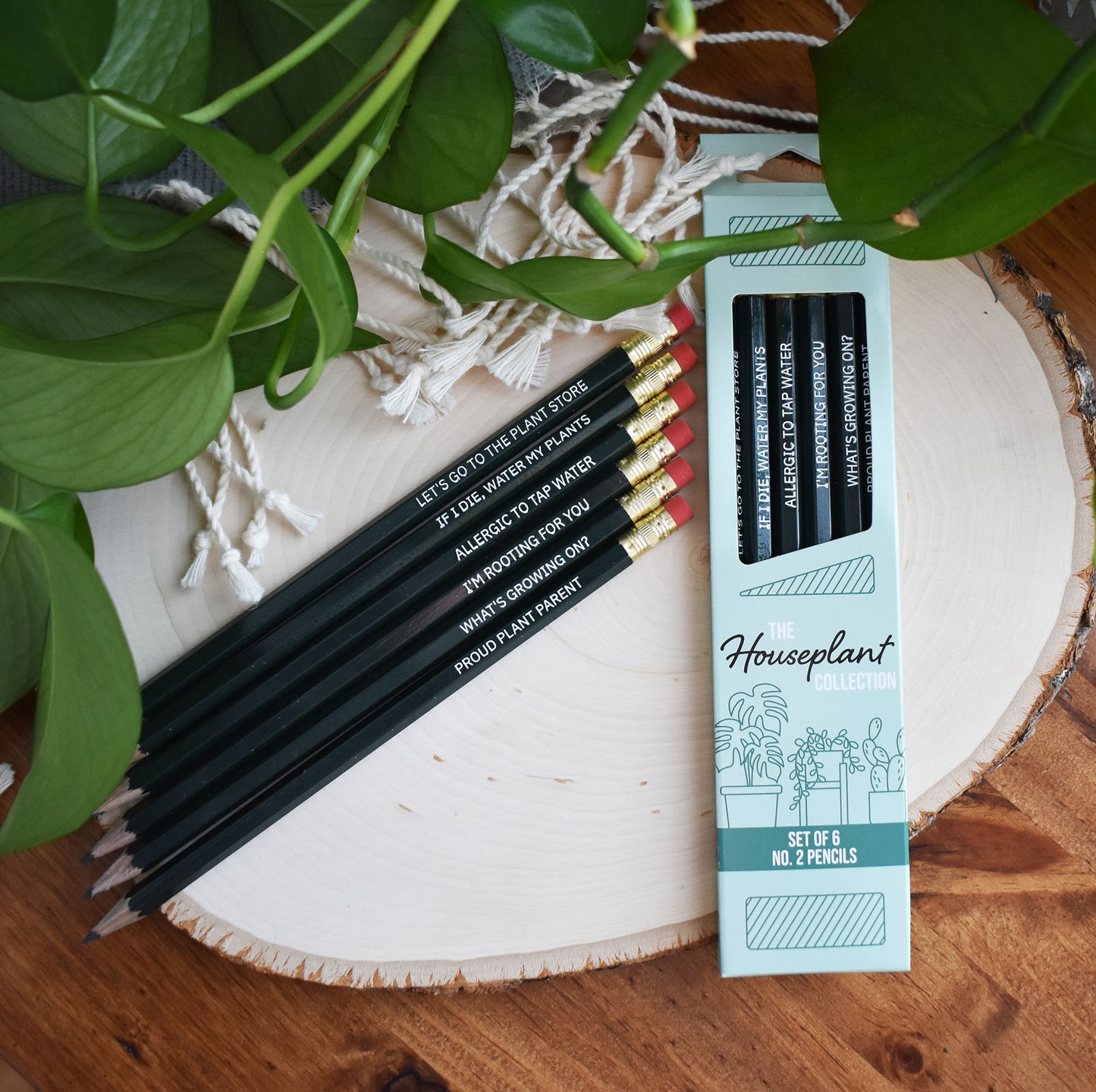 The Houseplant Collection Pencil Set