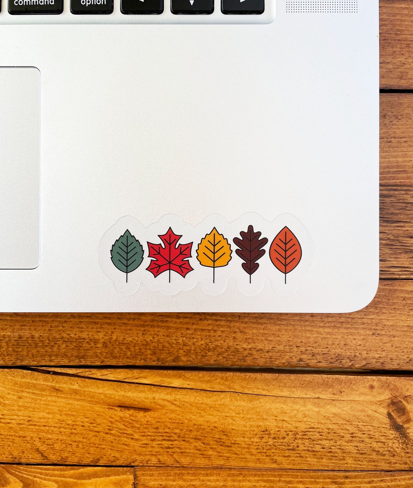 Fall Leaves Clear Sticker